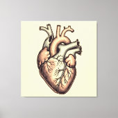„Das menschliche Herz – Zentrum des Lebens“ Leinwanddruck (Vorderseite)