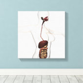 Das menschliche Verdauungssystem 1 Leinwanddruck (Insitu (Holzboden))