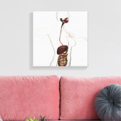 Das menschliche Verdauungssystem 1 Leinwanddruck (Insitu (Wohnzimmer))
