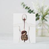 Das menschliche Verdauungssystem 2 Postkarte (Stehend Vorderseite)