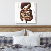 Das menschliche Verdauungssystem 5 Leinwanddruck (Insitu (Schlafzimmer))