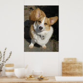Das merkwürdige Corgi Poster (Küche)