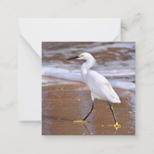 Das Mini-Notecard-Set am Strand Mitteilungskarte