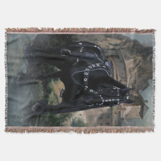 Das mittelalterliche Pferd - Blanket Decke (Vorderseite)