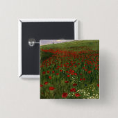 Das Mohnblumen-Feld, 1896 Button (Vorne & Hinten)
