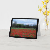 Das Mohnfeld Karte (Gelbe Blume)