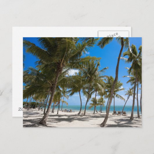 Das Moorings Resort, Marathon, Key West, 2 Postkarte (Vorne/Hinten)