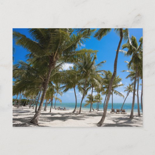 Das Moorings Resort, Marathon, Key West, 2 Postkarte (Vorderseite)