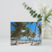 Das Moorings Resort, Marathon, Key West, 2 Postkarte (Stehend Vorderseite)