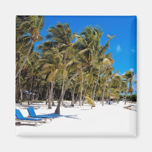 Das Moorings Resort, Marathon, Key West, 3 Magnet (Vorne)