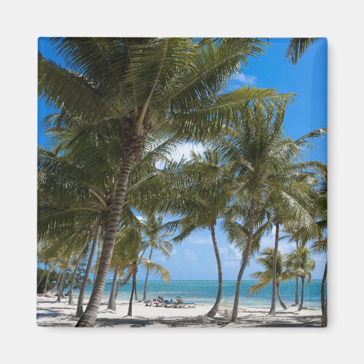 Das Moorings Resort, Marathon, Key West, Magnet (Vorne)
