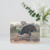 Das Mooruk von Joseph Wolf Postkarte (Stehend Vorderseite)