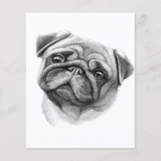 Das Mops-Portrait | NIEDLICHER MOPS Flyer (Vorne)