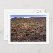 " Das Morning Trifecta " Postkarte (Vorne/Hinten)