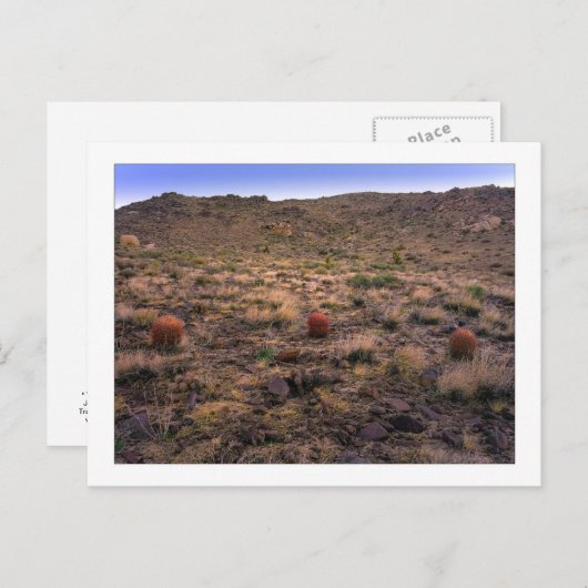 " Das Morning Trifecta " Postkarte (Vorne/Hinten)