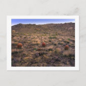 " Das Morning Trifecta " Postkarte (Vorderseite)