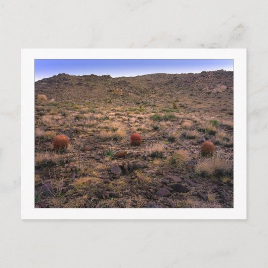 " Das Morning Trifecta " Postkarte (Vorderseite)