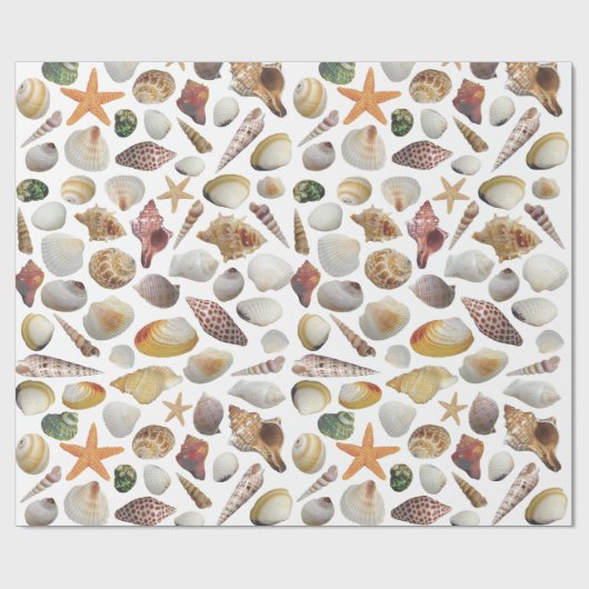 Das Muschel-Kollektor-Verpackungs-Papier Geschenkpapier (Flach)