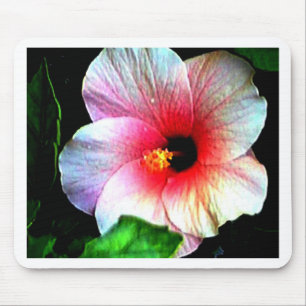 Das MUSEUM Artitst Reihe jGibney Hibiscus72 Mousepad