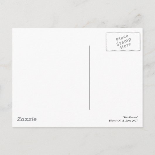 Das Museum Postkarte (Rückseite)