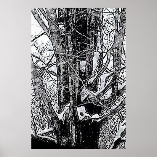 Das MUSEUM Zazzle-Poster von Snowy Maple Poster (Vorne)
