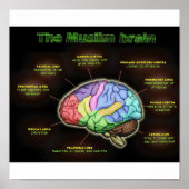Das MUSLIMISCHE BRAIN-Poster Poster (Vorne)