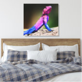 Das Mwanza-flach geführte Agama auf Felsen Leinwanddruck (Insitu (Schlafzimmer))