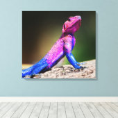 Das Mwanza-flach geführte Agama auf Felsen Leinwanddruck (Insitu (Holzboden))