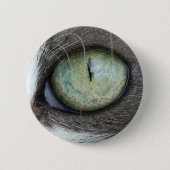 Das nahe hohe Katzenauge Button (Vorderseite)