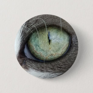 Das nahe hohe Katzenauge Button