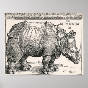 Das Nashorn Poster