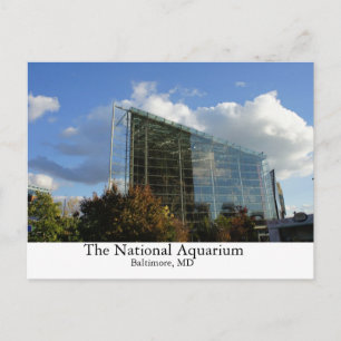 Das nationale Aquarium Postkarte