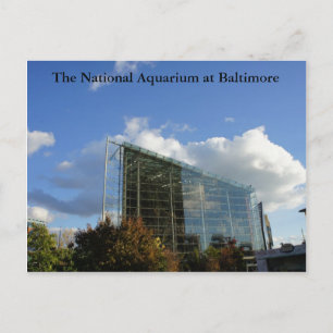 Das nationale Aquarium von Baltimore Postkarte