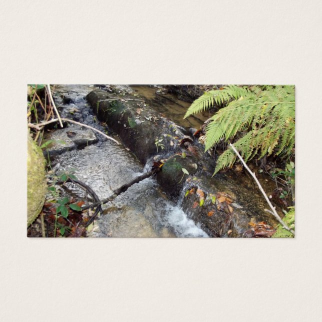 Das   Natürliche Umfeld   sucht Karte auf (Vorderseite)