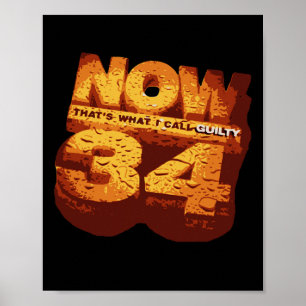 Das nenne ich Schuld 34 Trump-Felonies Poster