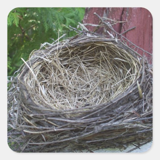 Das Nest des leeren Vogels Quadratischer Aufkleber (Vorderseite)