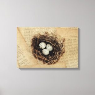 Das Nest des Vogels mit Eiern modernes Vintages Leinwanddruck