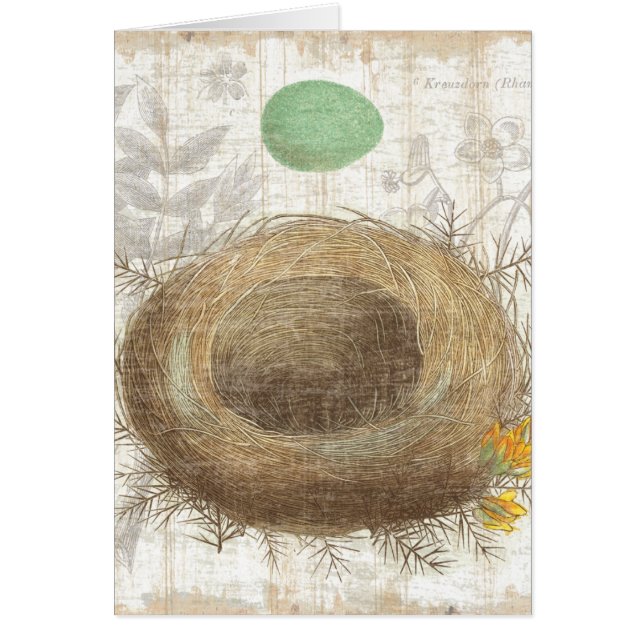 Das Nest eines Vogels mit einem grünen Ei (Vorne)