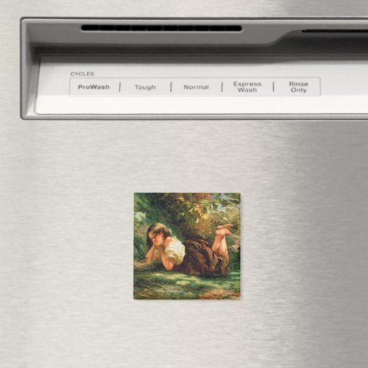 Das Nest Magnet (In Situ (Geschirrspüler))