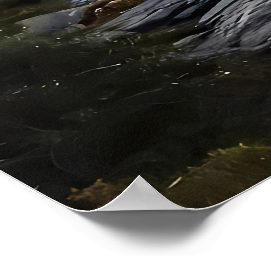 Das Netz über den Bergen Poster (Ecke)