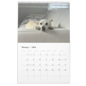 Das neue Jahr im April Kalender (Feb 2026)