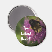 Das neueste Buzz!! Magnet (Vorderseite/Rückseite)