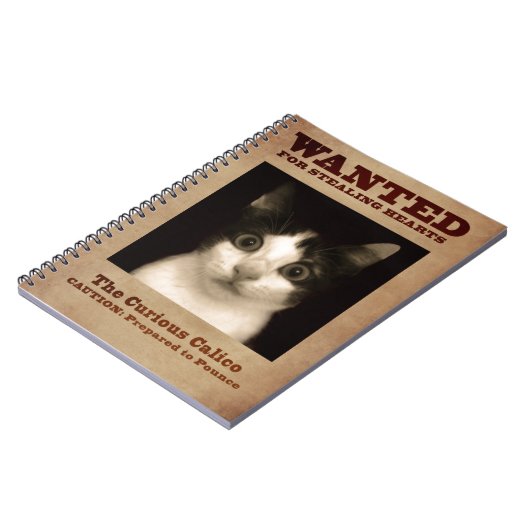 Das neugierige Kaliko-Kätzchen-Notizbuch Notizblock (Linke Seite)