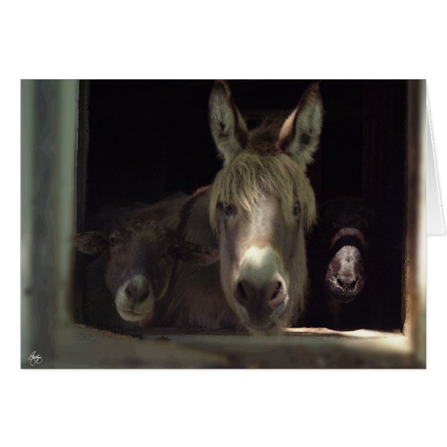 Das neugierige Trio (Vorderseite (Horizontal))