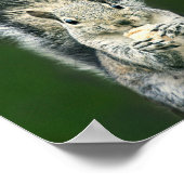 Das niedliche Nahe Up des Eichhörnchens Poster (Ecke)