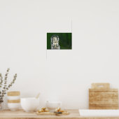 Das niedliche Nahe Up des Eichhörnchens Poster (Küche)