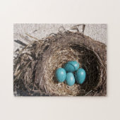 Das niedliche Nest-blaue Robin-Eier des rustikalen Puzzle (Horizontal)