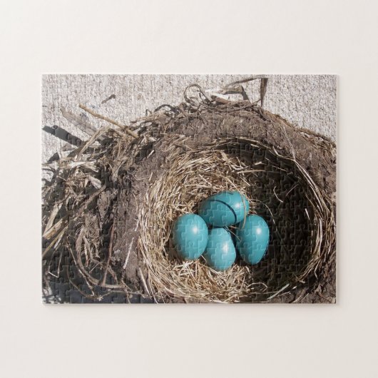 Das niedliche Nest-blaue Robin-Eier des rustikalen Puzzle (Horizontal)