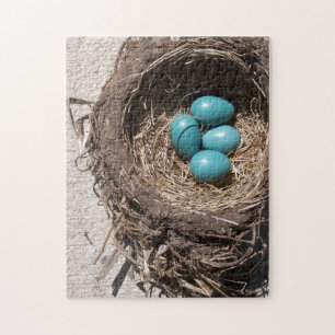 Das niedliche Nest-blaue Robin-Eier des rustikalen Puzzle