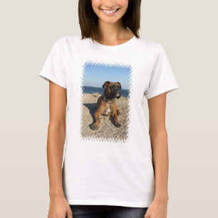 Das niedliche Shirt Boxer-Hundeder langen